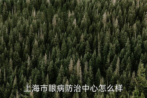 上海市眼病防治中心怎么樣
