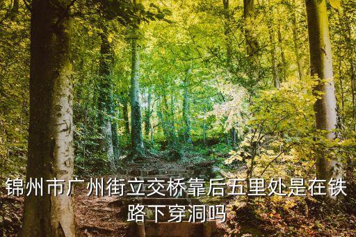 錦州市廣州街立交橋靠后五里處是在鐵路下穿洞嗎
