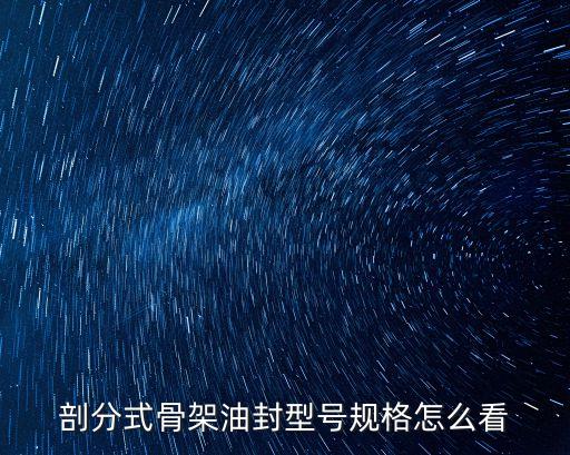 剖分式油封廣州，廣州有油封專賣市場嗎