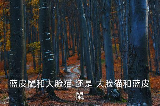藍皮鼠和大臉貓 還是 大臉貓和藍皮鼠