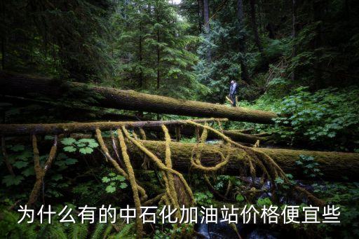 廣州為什么油價貴，哈弗在廣州為什么要貴2萬豪華型柴油要138萬超豪華要15萬  搜