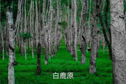 白鹿原豆瓣，白鹿原的電影好看嗎