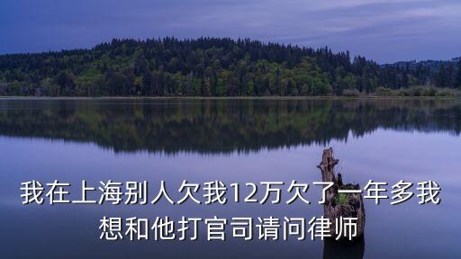 我在上海別人欠我12萬欠了一年多我想和他打官司請問律師