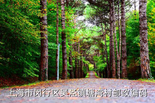 上海市寶山塘灣，上海市閔行區塘灣的郵編