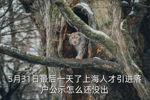 上海市12月人才落戶名單，上海人才引進落戶