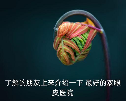 了解的朋友上來介紹一下 最好的雙眼皮醫(yī)院