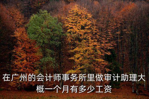 中交廣州審計崗，18年畢業審計專業想去廣州找工作一個人很迷茫不知道該從何