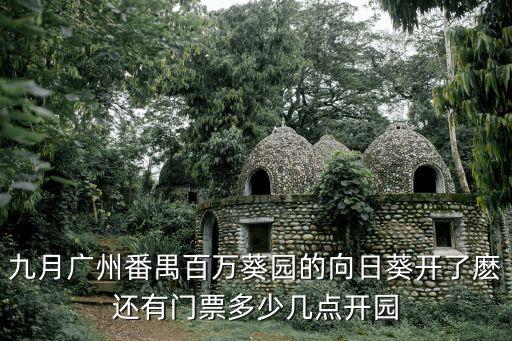 九月廣州番禺百萬葵園的向日葵開了麼還有門票多少幾點開園