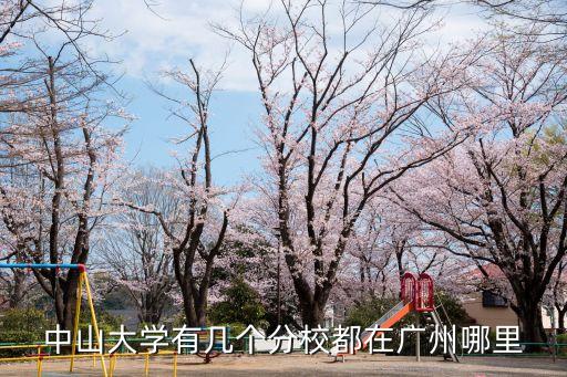 中山大學(xué)有幾個(gè)分校都在廣州哪里