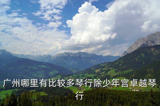 廣州哪里有比較多琴行除少年宮卓越琴行