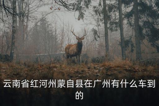 云南從廣州回來的車，云南省紅河州蒙自縣在廣州有什么車到的