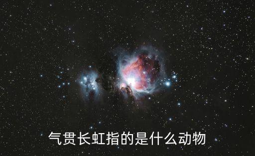 氣貫長虹的意思，破繭成蝶氣貫長虹笑傲蒼穹的意思