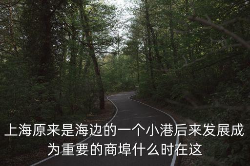 上海原來是海邊的一個小港后來發展成為重要的商埠什么時在這