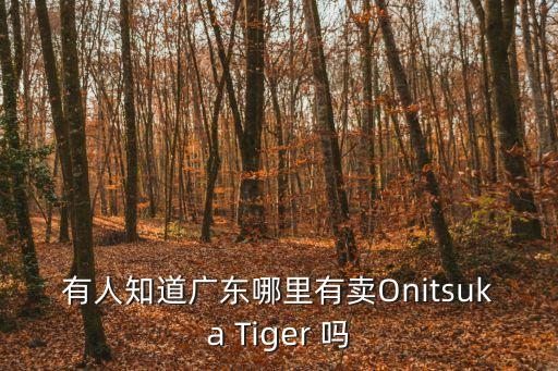 有人知道廣東哪里有賣Onitsuka Tiger 嗎