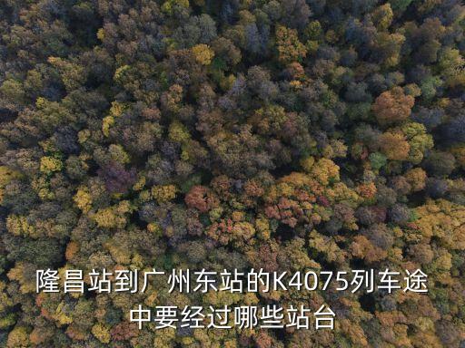 隆昌到廣州高鐵查，隆昌北站至廣州的動車有幾班