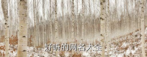 好聽的網(wǎng)名大全