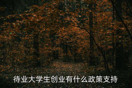 待業大學生創業有什么政策支持