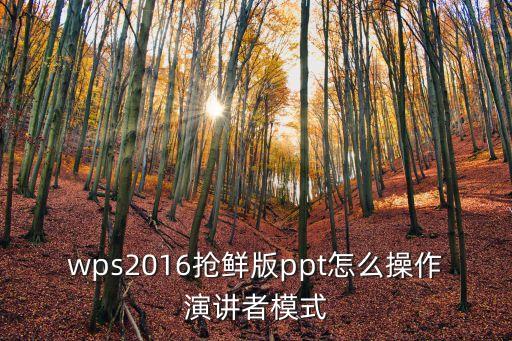 wps2016搶鮮版ppt怎么操作演講者模式
