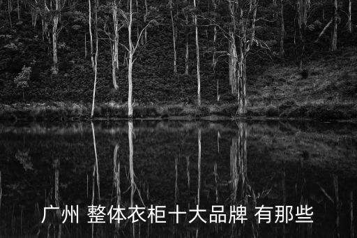 廣州 整體衣柜十大品牌 有那些