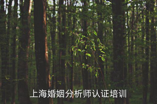 上海婚姻分析師認證培訓