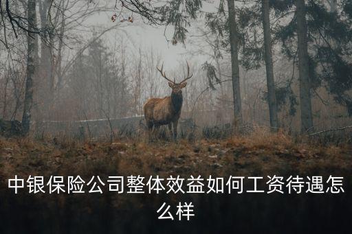 廣州中銀保險招聘，中銀保險的客服工作怎么樣