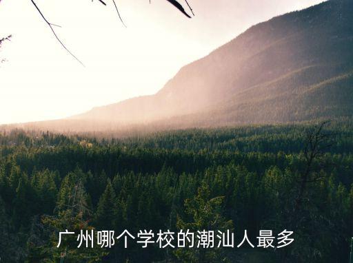 廣州學校潮汕人，為什么廣州高校潮汕人最多