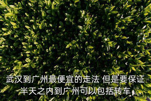 武漢到廣州最便宜的走法 但是要保證半天之內(nèi)到廣州可以包括轉(zhuǎn)車