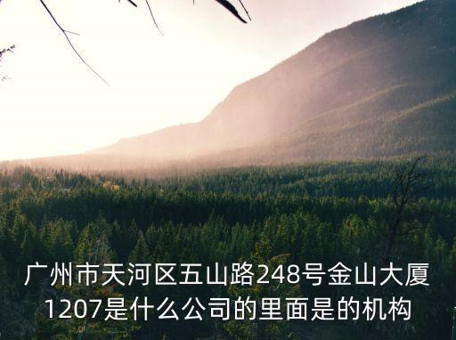 廣州市翔星，廣州市天河區(qū)五山路248號金山大廈1207是什么公司的里面是的機構(gòu)