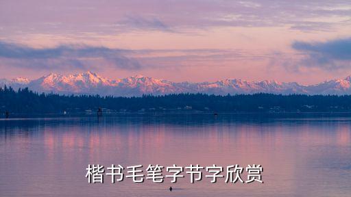 楷書毛筆字，求正楷的 不悔 的毛筆字