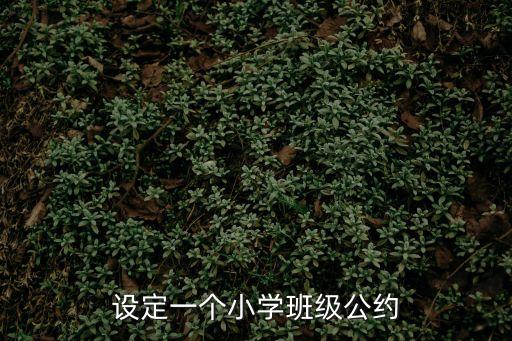 設(shè)定一個(gè)小學(xué)班級(jí)公約