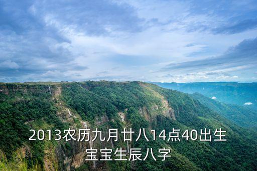 2013農歷九月廿八14點40出生寶寶生辰八字