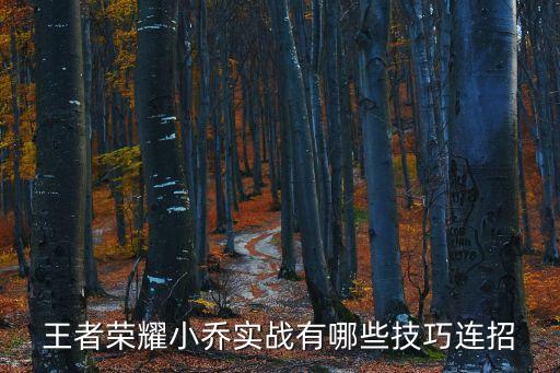 王者榮耀小喬實(shí)戰(zhàn)有哪些技巧連招
