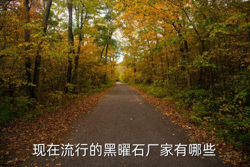 廣州拓尚飾品有限公司，現(xiàn)在流行的黑曜石廠家有哪些