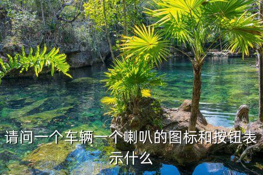 請問一個車輛一個喇叭的圖標和按鈕表示什么