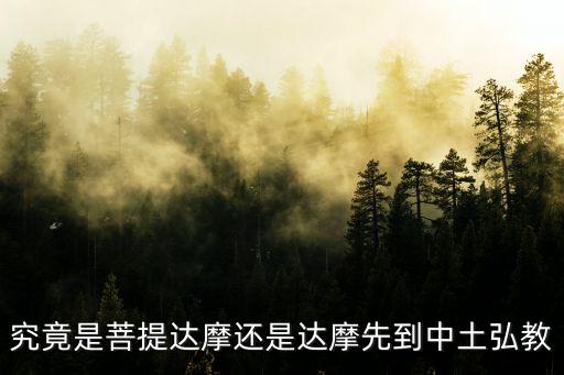 究竟是菩提達摩還是達摩先到中土弘教