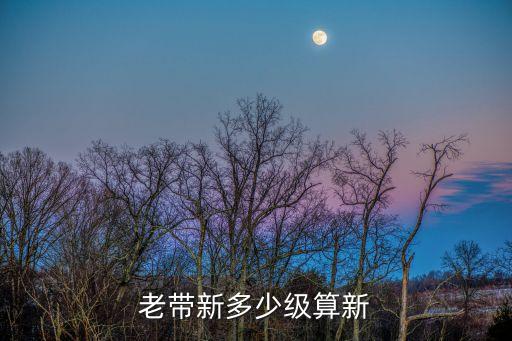 老帶新多少級(jí)算新