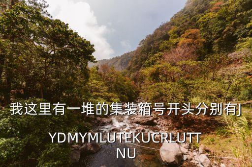 我這里有一堆的集裝箱號開頭分別有JYDMYMLUTEKUCRLUTTNU