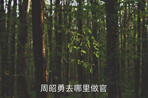 廣州省汕頭市電業局局長，汕頭市 電信局局長叫什么名字