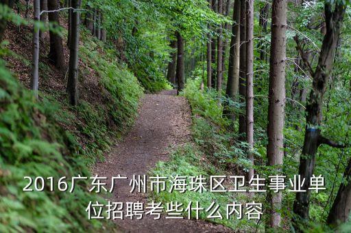2016廣東廣州市海珠區(qū)衛(wèi)生事業(yè)單位招聘考些什么內(nèi)容