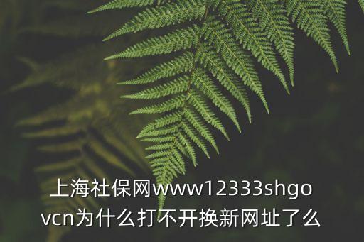 上海市社會保障局官網(wǎng)登錄，上海社會保障中心的網(wǎng)址什么