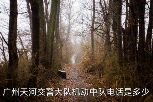 廣州市天河交警大隊電話號碼，廣州天河車管所電話
