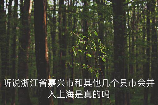 嘉興市未來會并上海市嗎，聽說浙江省嘉興市和其他幾個縣市會并入上海是真的嗎