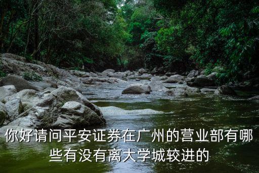 你好請問平安證券在廣州的營業部有哪些有沒有離大學城較進的