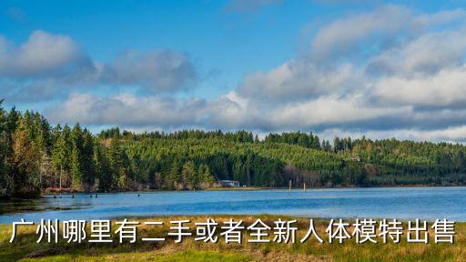 廣州二手模特市場，廣州哪里有二手或者全新人體模特出售