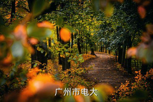 國家電大開放大學廣州學院，廣州市電大