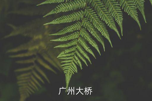 15年廣州大橋開槍，2015年廣州的士晚上價格是多少錢一公里晚上從廣州花都區花東鎮金