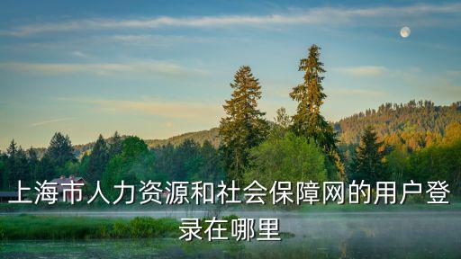 上海市人力資源和社會保障網的用戶登錄在哪里