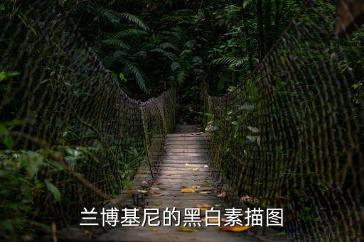 黑白素描畫，素描怎樣畫黑白灰 速寫怎樣畫才出好的效果