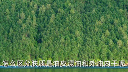 怎么區分膚質是油皮混油和外油內干呢