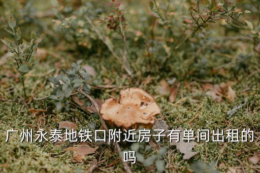 廣州永泰地鐵口附近房子有單間出租的嗎